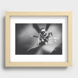 wasp Recessed Framed Print