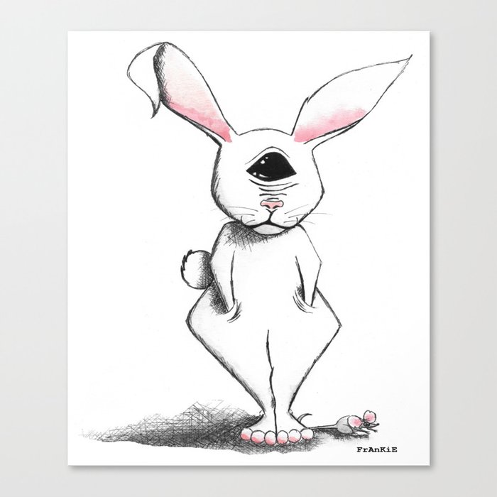 Bunny FuFu Canvas Print