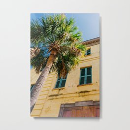 Charleston Palm Tree IV Metal Print