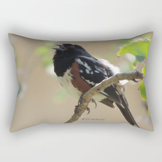 Spotted Towhee Scopes the Oak Grove Rectangular Pillow