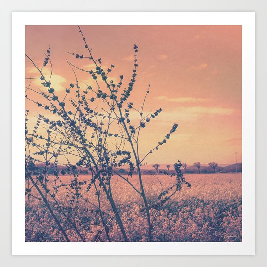 Imperfect Beauty (Beginning of Spring, California Countryside Farm) Art Print