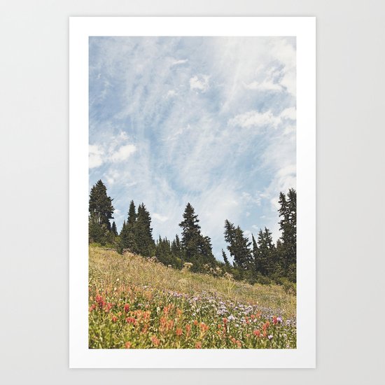 Mountain Flowers in the Sun Art Print