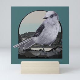 Alpine Gray Jay Bird Mini Art Print