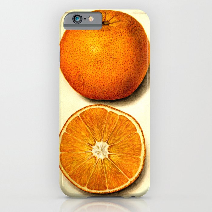 Vintage Botanical Navel Orange iPhone Case