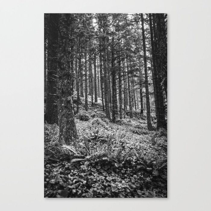 Black and White Forest Canvas Print