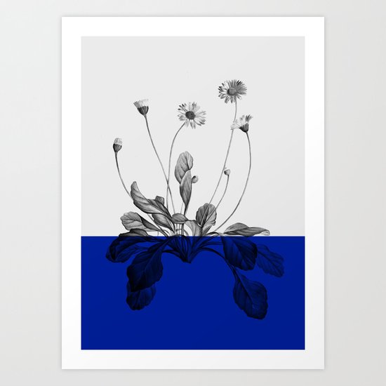 blue flower plant nature Art Print