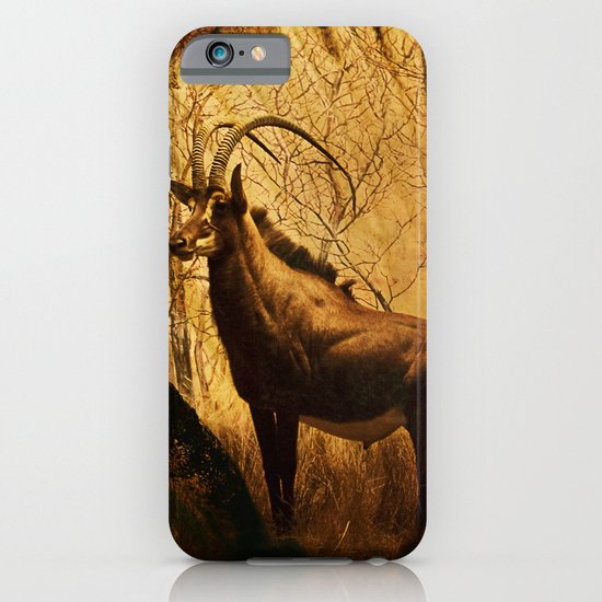 Diorama :: Antelope iPhone & iPod Case