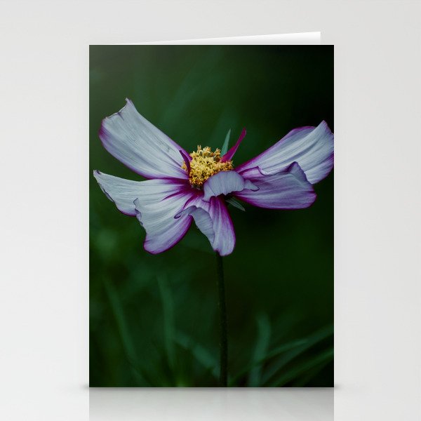 Beauty in Bloom Stationery Cards
