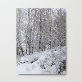 Snowy trees Metal Print