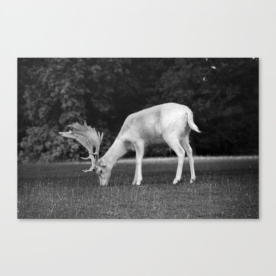 Hmmm... (2) Canvas Print