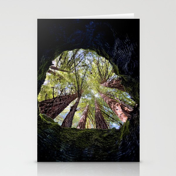 Telescope of Time (benefitting The Nature Conservancy)  Stationery Cards