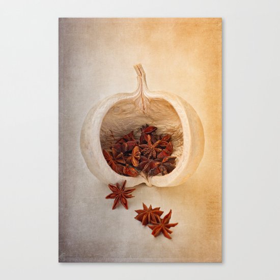 STAR ANISE Canvas Print