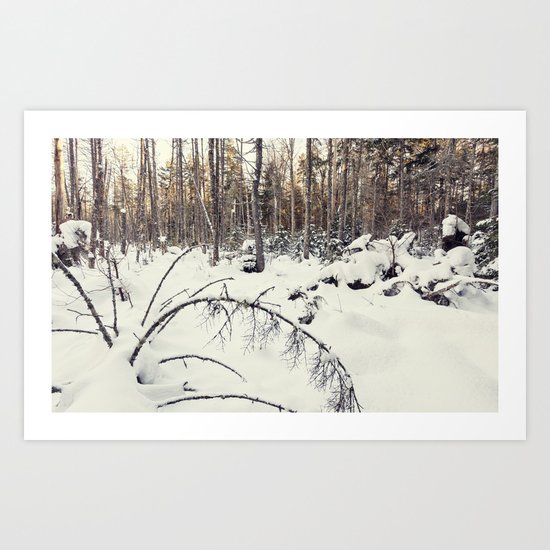 snow in the woods Art Print