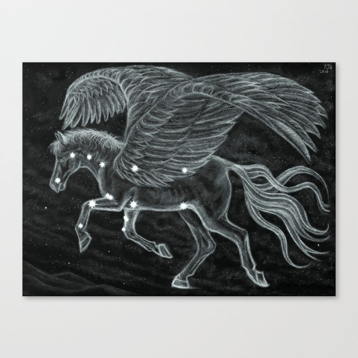 Pegasus Across the Northern Sky Canvas Print