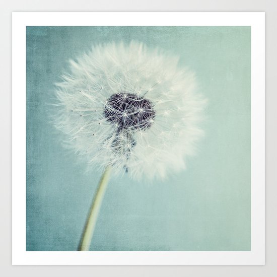 Dandelion Art Print