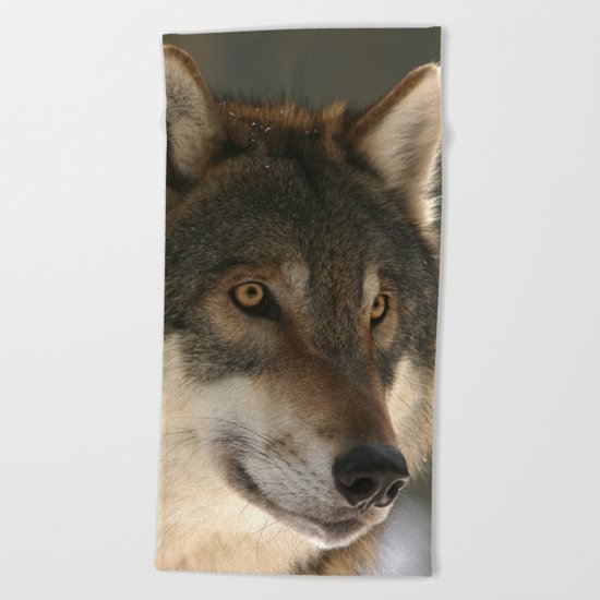 Lone Wolf Beach Towel