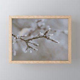 Snowy Branch Framed Mini Art Print