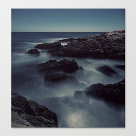 Moon Shadows Canvas Print
