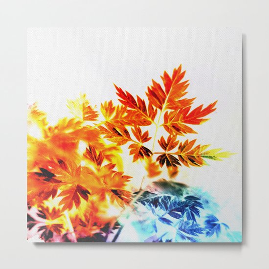 Enchanted Fern Leaves Metal Print