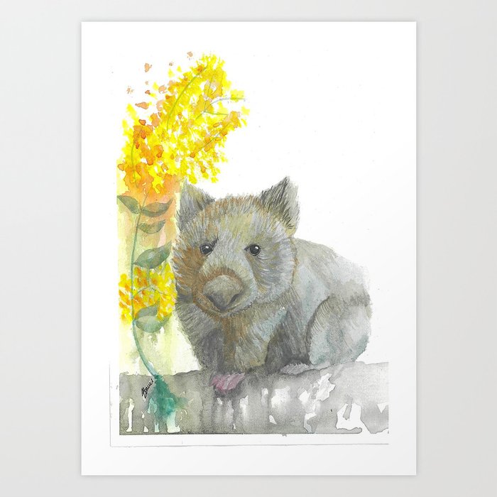 Wattle and a Wombat Art Print