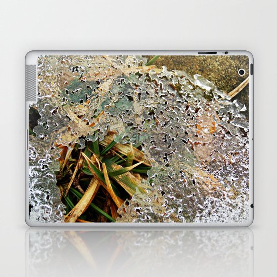 Nature Frozen Over Laptop & iPad Skin