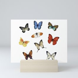 Butterflies in the world Mini Art Print
