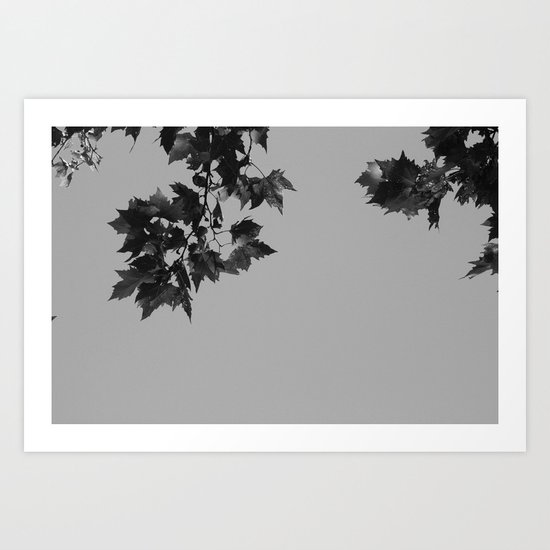 Leaves Art Print
