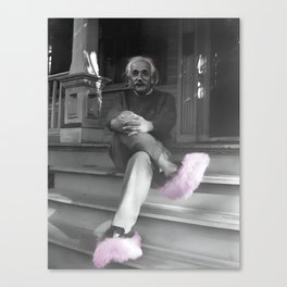 Satirical Einstein in Fuzzy Pink Slippers Classic E = mc² Black and White Satirical Photography  Canvas Print