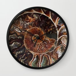 Fossilized Shell Wall Clock