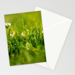 Summer grass Stationery Cards