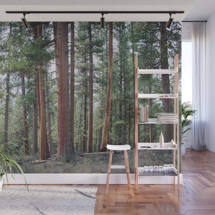 Ponderosa Pine Forest Wall Mural