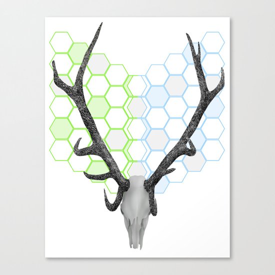 Stag Skull Canvas Print