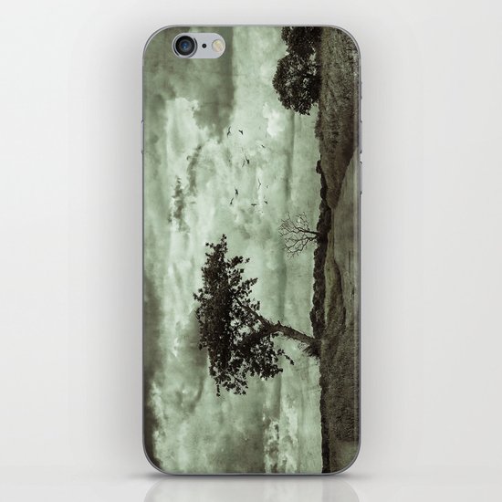 The Lonely Road iPhone & iPod Skin