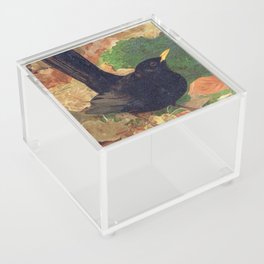 Blackbird - Léo-Paul Robert 1880 Merle Noir Acrylic Box