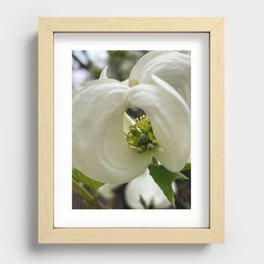 Focus6 Recessed Framed Print