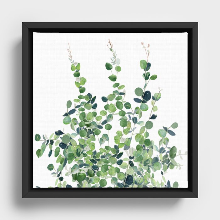Eucalyptus  Framed Canvas