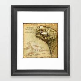 Galapagos Tortoise Framed Art Print