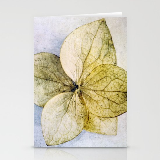 flower Stationery Cards