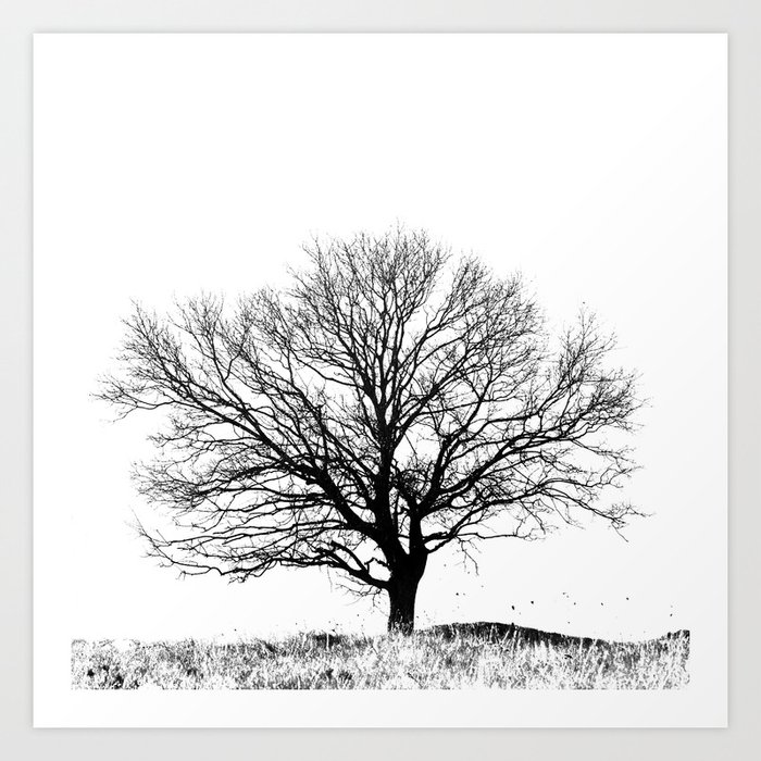 tree paintings black and white