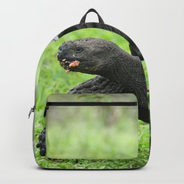 Galapagos Giant Tortoise Backpack | Galapagos, Island, Giant, Endemic, Color, Travel, Turtle, Animal, Photo, Grass 