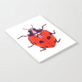 Painted Ladybug Notebook