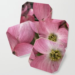 Playful Pink Dogwood Flowers Blooms Coaster