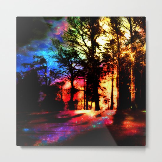 Winterland Metal Print