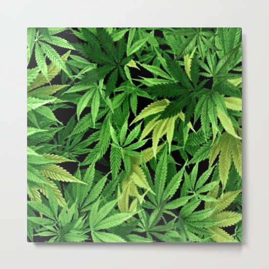 Cannabis Metal Print