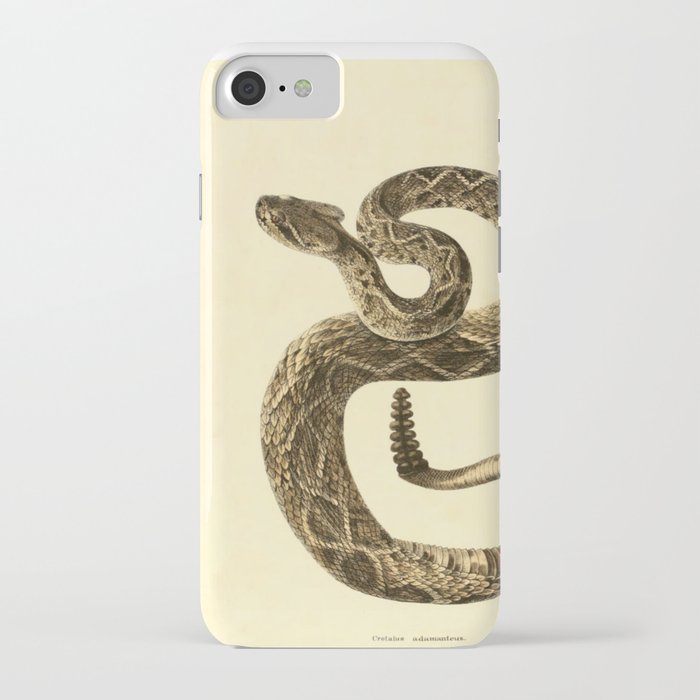 Eastern Diamondback Rattlesnake iPhone Case