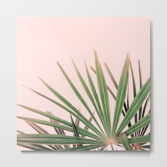Palms blossom Metal Print