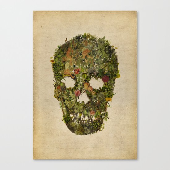LIFE AND DEATH Canvas Print