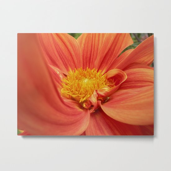 inside II Metal Print