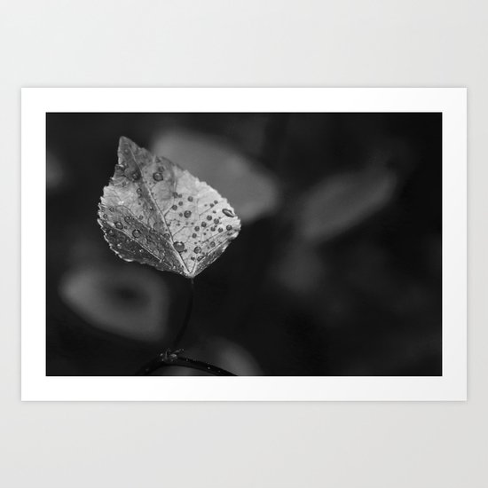 DewDrops Art Print