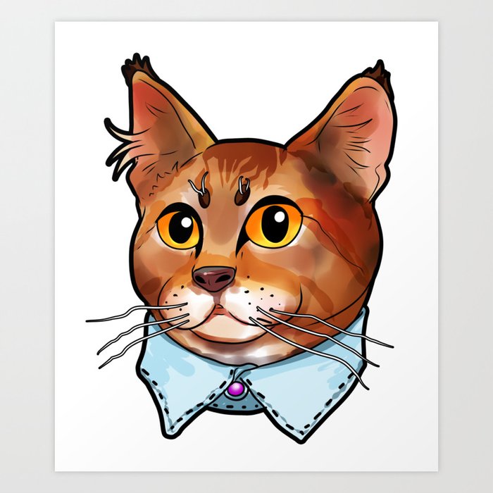 Pixie Bob Pixie Bob Pixiebob Cat Face Cats Funny Art Print By Moonpie90 Society6